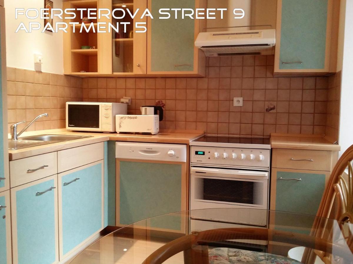 Holiday Apartments Karlovy Vary Bagian luar foto