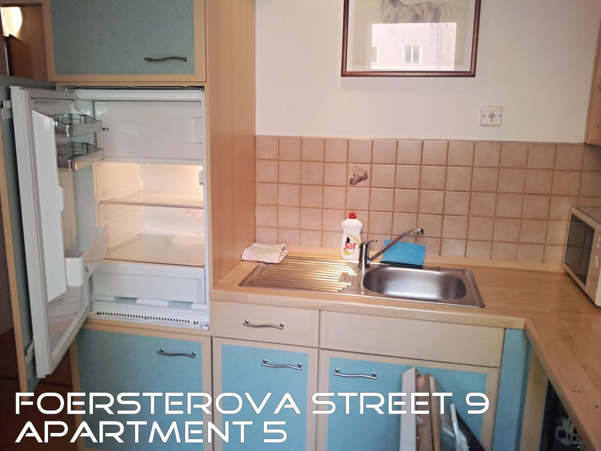 Holiday Apartments Karlovy Vary Bagian luar foto